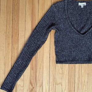 Wilfred Free Long Sleeved Crop Top - Aritzia